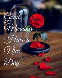100 Good Morning Quotes With Beautiful Images Good Morning Sister Good Morning Flowers Morning Quotes Images
