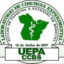 Find & download free graphic resources for logo. Lce Uepa Lce Uepa Twitter