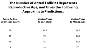 The Walker Family Blog Poor Ovarian Reserve