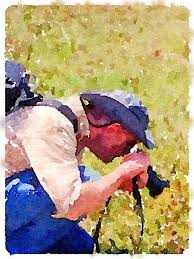 Feature Fridays Archives Ceramicscapes