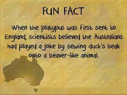 List of 51 examples of fun facts about yourself to tell others. Friday Fun Fact 6 The Wonder Of Down Under