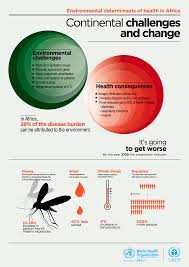 Social determinants of health are the primary contributors to unfair and avoidab. Environmental Determinants Of Health In Africa Who Regional Office For Africa