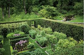 Pin On Boxwoods