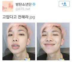 Have covered all their bases for the tournament. Everything Bts Has Ever Done Both Good And Bad