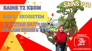 Fotosintesis terlibat secara langsung dalam kitar karbon dan kitar oksigen yang membantu mengekalkan kandungan gas dalam udara kitar karbon. Sains Tingkatan 2 Bab 2 Ekosistem 2 2 Kitar Nutrien Dalam Ekosistem Cute766