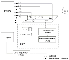 Find and pinpoint leaks on a water network under paved and unpaved surfaces. Recent Developments In Instrumentation For Capillary Electrophoresis And Microchip Capillary Electrophoresis Abstract Europe Pmc