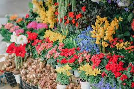 First select your country, select the bank, now select your city and finally select the branch of your bank to find swift code. Dein Augsburg Die Besten Blumenladen In Augsburg Und Umgebung