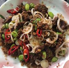 Untuk resep dengan bahan dasar daging sapi, lihat kumpulan resep olahan daging sapi di sini. Resepi Daging Pekasam