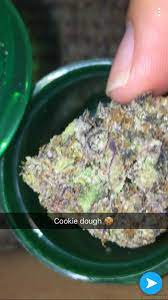 Emperor cookie dough is a super rare indica dominant hybrid (70% indica/20% sativa) strain created through crossing the powerful emperor og with the . Cookie Dough Von Flavour Chasers Cannabis Sorten Infos