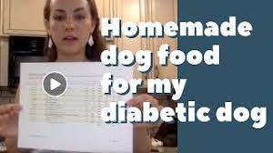 They will also help you evaluate this diabetic food recipe to make sure it will meet your pet's unique nutritional needs. Making Homemade Dog Food For My Diabetic Dog Live Replay Youtube