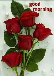 Good Morning Rose Flower Wallpaper Red Rose Bouquet Beautiful Red Roses Heart good morning photo images wallpaper pictures with flower. red rose bouquet beautiful red roses