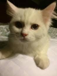 Princess Aurora aka my Rory ❤️ she definitely brings the light to my days!