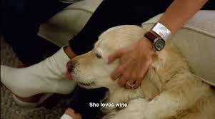 Jessica From Love Is Blind Explained That Moment Where She Gave Her Dog Wine She is nice, kind, smart and she is beautiful inside and out. she gave her dog wine