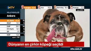 Iste Dunyanin En Cirkin Kopegi Zsa Zsa Juriyi Dili Ile Etkiledi Youtube