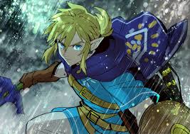 So grab some friends or meet some new people with a passion for anime. Breath Of The Wild Link The Legend Of Zelda Breath Of The Wild Know Your Meme