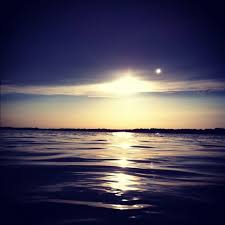 Lake Butler Windermere Florida On Bird Island 3 Bird Island Lake Butler Sunrise Sunset