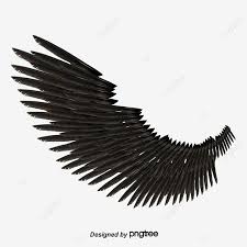 صور اجنحه صور Clipart أجنحة الملاك ريشة Png وملف Psd للتحميل مجانا Spork Photo