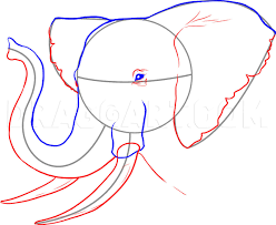 Elephants have very straight legs, and they walk on their 4. How To Draw A Realistic Elephant Draw Real Elephant Step By Step Drawing Guide By Dawn Dragoart Com