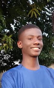 Nwogbala Emmanuel Chisom