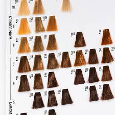 Gestern habe ich eine neue farbe ausprobiert. Goldwell Farbkarte Online Kaufen Baslerbeauty