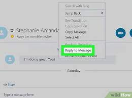 I'm no longer an active skype user so i don't know the details of how the new quote system works. How To Quote Skype Messages On Pc Or Mac 7 Steps With Pictures