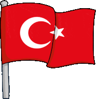 Türk bayrak fotoğrafı türk bayrağını nereye koysan yakışıyor. Turkey Flag Gif Gifs Tenor