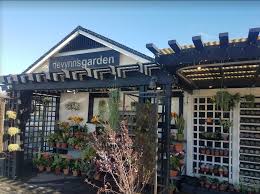 All guests welcome, classes are $15 or free for hotel guests. Devynn S Garden