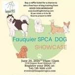 Fauquier SPCA Showcase Your SPCA Adoptive Dogs