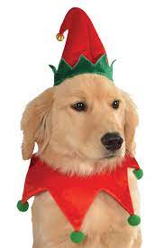 Free 2 Day Shipping Buy Elf Hat And Collar Pet Costume At Walmart Com Dog Christmas Clothes Christmas Dog Outfits Pet Costumes For Dogs