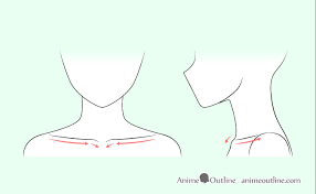 How To Draw Anime Neck Shoulders Animeoutline See more ideas about collar bone, collar bone tattoo, skinny love. how to draw anime neck shoulders