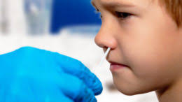 Councillor Shane McMurray Archives