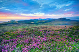Ellan vannin) is an island in the british isles, located in the irish sea between the islands of great britain and ireland. Tempus News How The Isle Of Man Has Taken Conservation To An Island Wide Enterprise