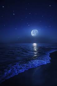 Ocean At Night Google Search Ocean At Night Beautiful Moon Beach At Night