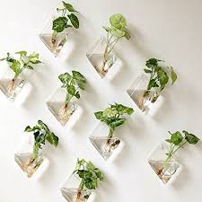 Mkono Hanging Wall Planter Set Bestproducts Com Indoor Plant Wall Hanging Glass Planters Air Plants Decor