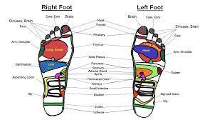 Reiki Chart Diagrams Asian Reflexology Foot Massage Chart