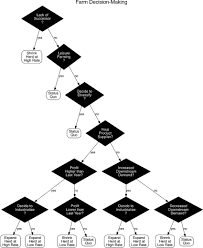 the decision making flow chart of an individual farm status