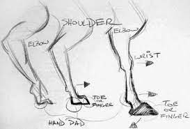 I specialize in simple because it's the best and only way to learn to draw. Draw Animal Limbs Drawing Life Joshua Nava Arts