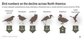 us and canada have lost nearly 3 billion of bird population