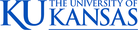 Institute of Management Studies KU School of Business Analytics
