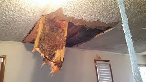 Ceiling Fell Down From Rain House Rental Before And After Pictures Repair
