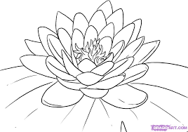 Identify 15 different creatures in these animal coloring sheets. Lily Pad Flower Coloring Pages Coloring Home