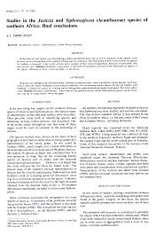 Image result for Justicia anagalloides