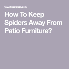 How To Keep Spiders Away From Patio Furniture Keep Spiders Away Patio Furniture Patio