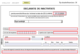 Identificarea vizuală online pentru înregistrarea în spv. DeclaraÈie De Inactivitate 2021 S1046 Anaf A Publicat Pdf Ul Inteligent Pentru EntitÄÈi Care Nu Au DesfÄÈurat Activitate In 2020 Cabinetexpert Ro Blog Contabilitate