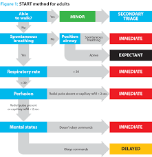 A Scientific Look At Start And Our Ability To Do It Jems