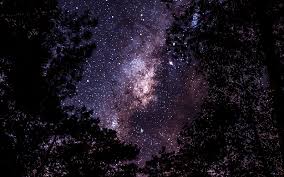 نتیجه جستجوی لغت [stars] در گوگل