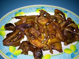 Konsumsi makanannya pun cukup terjangkau, tentu burung ini tidak akan boros dalam makanan dan perawatannya. Kedai Khusus Burung Dara Goreng Home Facebook