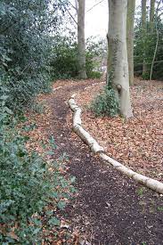 Wooded Backyard Landscape Woodland Garden Garden Paths