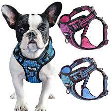 amazon com blueberry pet 4 colors better basic dog harness vest orange fusion chest girth 17 21 pet s dog vest harness padded dog harness pet harness