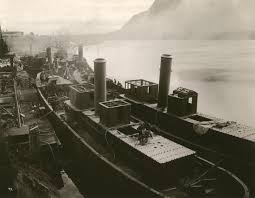 Image result for Mountain Brown 1934 Fleet